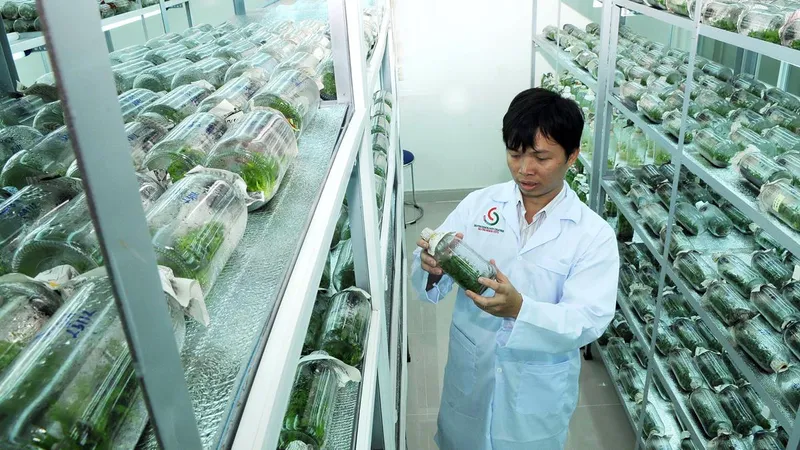 Nghiên cứu phải có địa chỉ ứng dụng