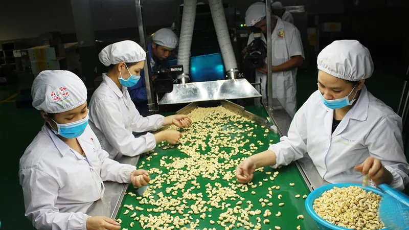 Ngành điều và “chiếc van” điều tiết