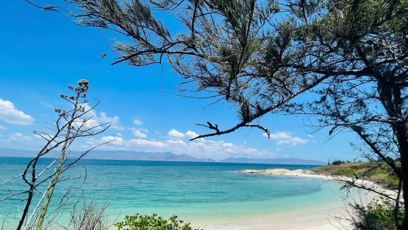 Visitors immersed in pristine beauty of Hon Cau Island