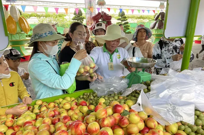 Visitors purchase fruits at Suoi Tien Cultural Tourism Area. (Photo: SGGP)