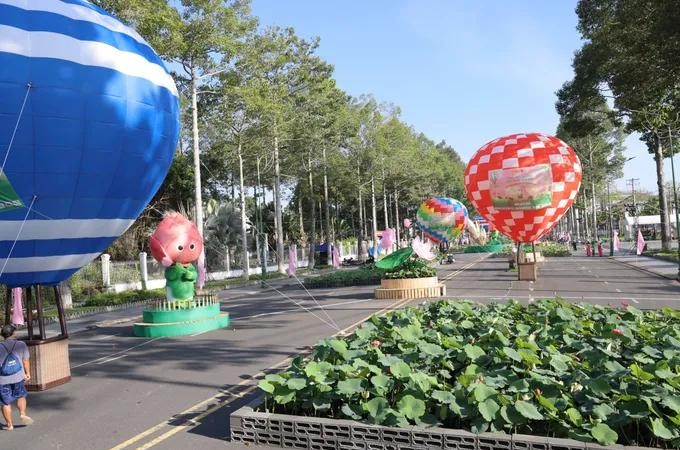 Dong Thap’s “Lotus Road” attracts visitors