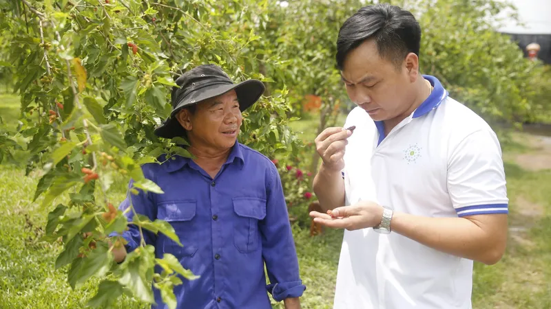 Ông Nguyễn Thượng Vũ (trái) hướng dẫn khách tham quan thưởng thức dâu tại vườn