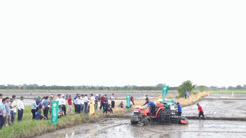 Nhiều người dân đến xem mô hình điểm sản xuất lúa bền vững tại Hợp tác xã nông nghiệp Hưng Tân (huyện Tân Hưng, tỉnh Long An) 