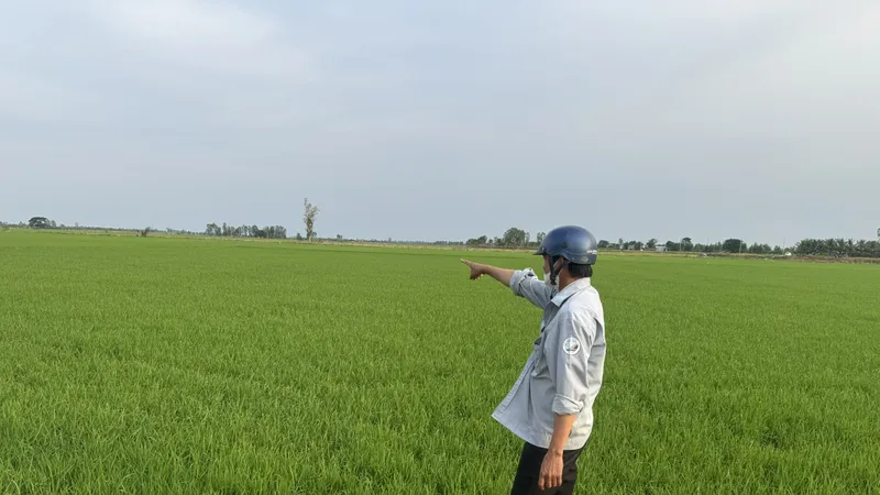 Một góc khu đất công 850ha ở xã Hưng Điền, huyện Tân Hưng, tỉnh Long An