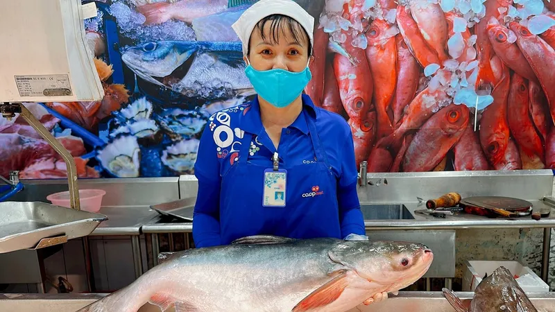 Cá tra được tiêu thụ tại hệ thống siêu thị Saigon Co.op