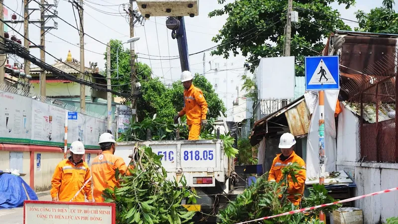 Nhân viên ngành điện TPHCM phối hợp đơn vị quản lý cây xanh thực hiện mé nhánh, tỉa cành, đề phòng cây xanh ngã vào lưới điện