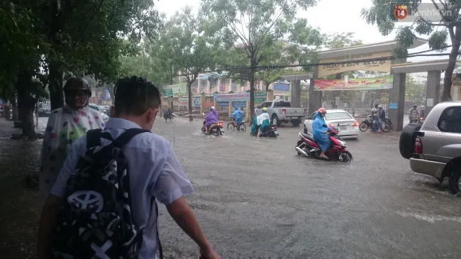TPHCM ngưng mọi hoạt động giáo dục đến hết 26-11