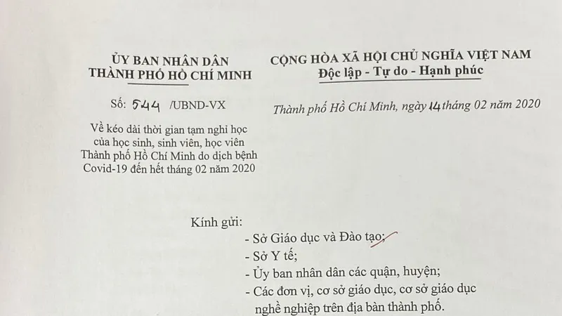 TPHCM: Kiến nghị cho học sinh, sinh viên nghỉ học đến hết tháng 3-2020