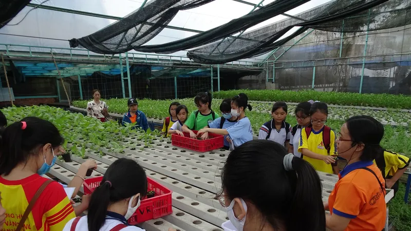 Học sinh hào hứng trải nghiệm trồng rau, chăm sóc thú qua Cuộc thi “Văn hay chữ tốt” do quận Tân Bình tổ chức 