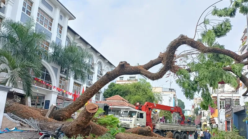 Trường THCS Trần Văn Ơn hỗ trợ các nạn nhân vụ cây đổ hơn 16 triệu đồng