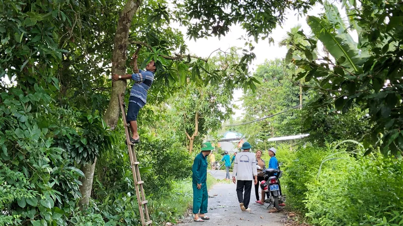 Người dân Lai Vung dọn đường sá đón ông Bảy trở về