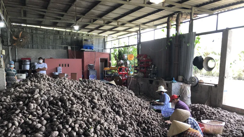 Tìm giải pháp căn cơ cho tiêu thụ nông sản