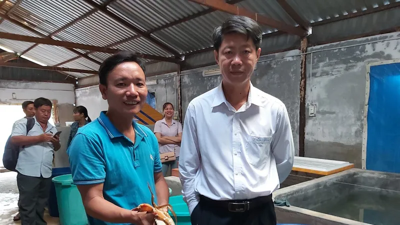 Trà Vinh sản xuất thành công giống cua biển bản địa
