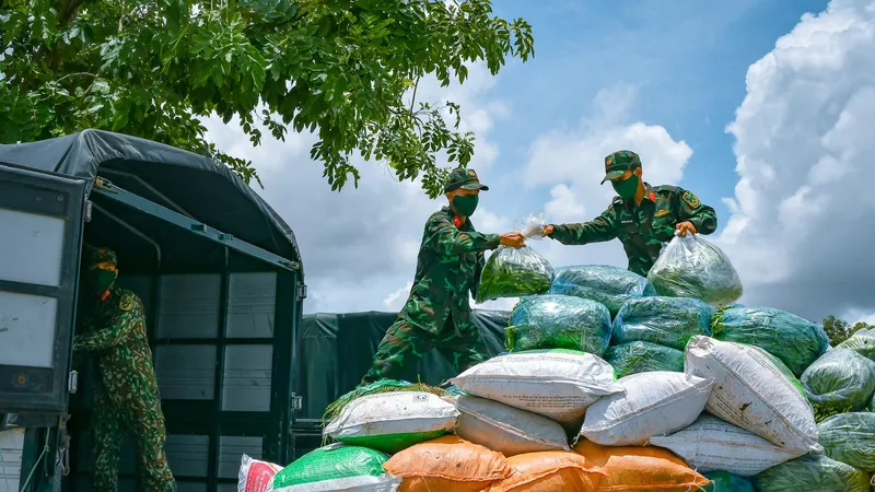 Hơn 100 cán bộ chiến sĩ Trung đoàn 320 hỗ trợ vận chuyển nông sản. Ảnh: THẾ HIỂN