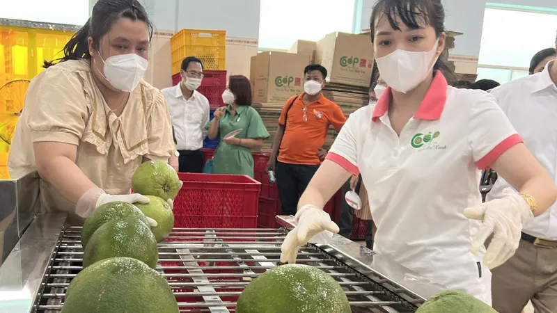 Bến Tre: Dự kiến chi 33 tỷ đồng hỗ trợ người lao động thuê nhà