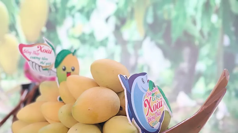 Ban tổ chức đã trao 3 giải nhất với sản phẩm xoài tượng da xanh, xoài cát chu và cát Hòa Lộc