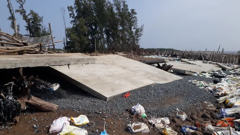 Sạt lở, xâm thực bờ biển tại Ba Tri ngày một nghiêm trọng