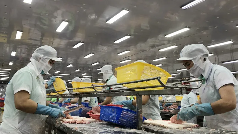 Ngày hội cá tra Đồng Tháp năm 2024 diễn ra ngày 16 và 17-11