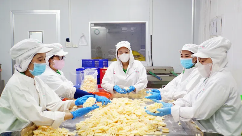 Phát huy giá trị văn hóa-kinh tế cho các sản phẩm chế biến từ cây sen