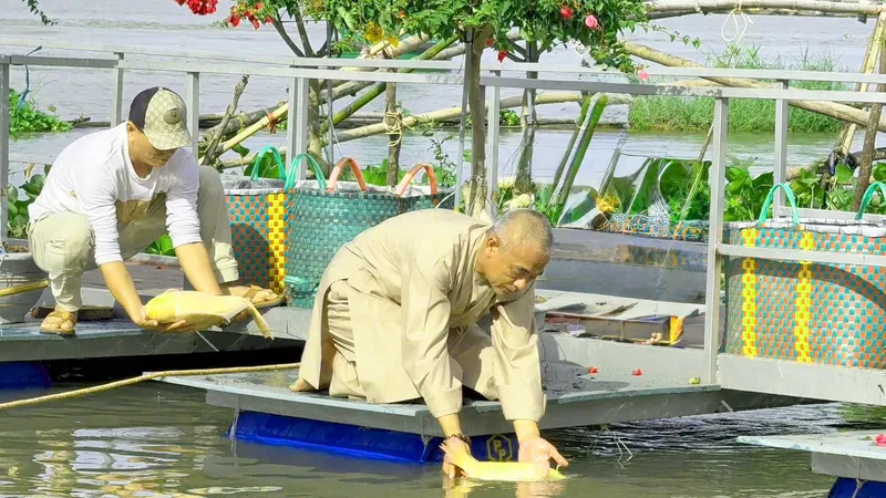 Chùa Tâm Thành (xã Phú Cường, huyện Tam Nông) thả trên 220kg cá chép đang mang trứng về sông Tiền tại khu vực lưu giữ và bảo tồn nguồn lợi thủy sản (TP Hồng Ngự, tỉnh Đồng Tháp)