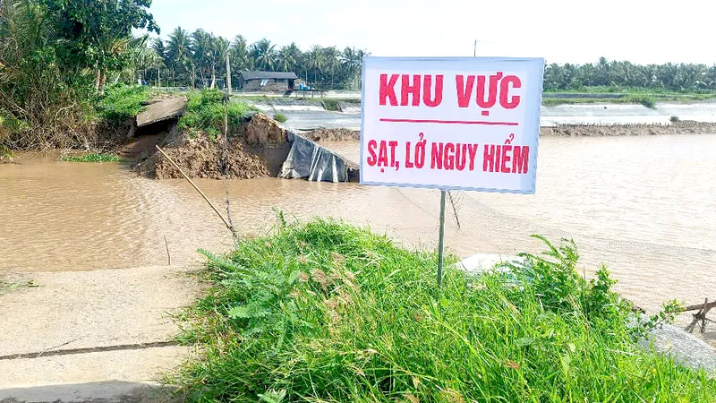 Vĩnh Long công bố tình huống khẩn cấp sạt lở đê bao Bắc rạch Trà Cú