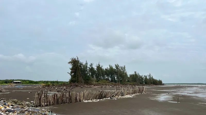 Sạt lở bờ biển tại Vĩnh Long đang diễn biến phức tạp