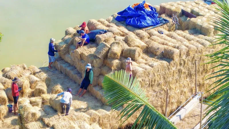 Chợ rơm Ba Lai (thuộc xã Tân Xuân, tỉnh Vĩnh Long). Ảnh: HUY TRẦN