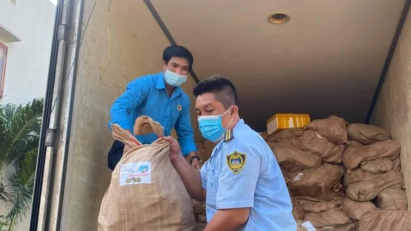 Gần 10 tấn cá biển từ tỉnh Quảng Bình đã đến TPHCM 