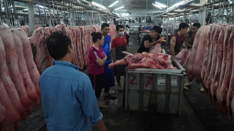 Tết Bính Ngọ 2026: Chủ động nguồn cung thịt heo
