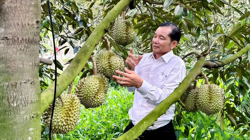 Nông dân làm chủ kỹ thuật, làm giàu chính đáng