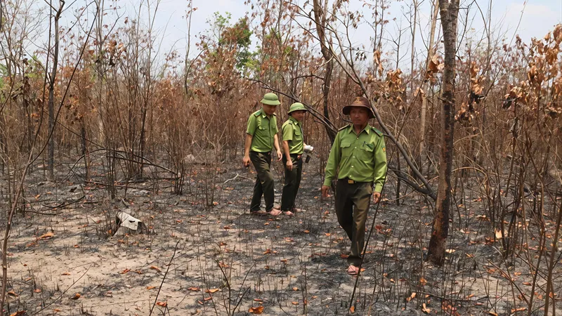 Căng mình phòng chống cháy rừng