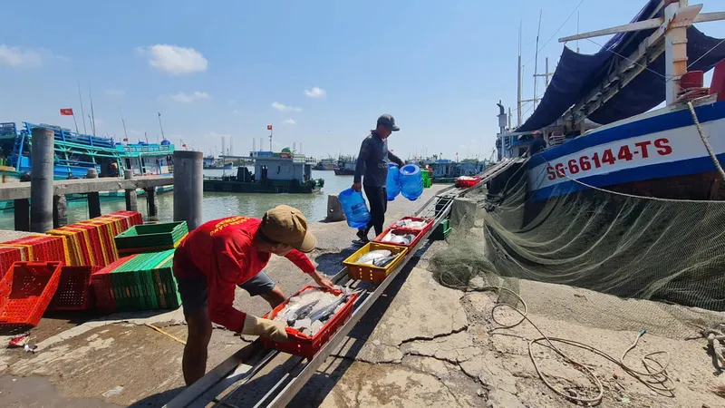 Hướng đến phát triển bền vững ngành thủy sản