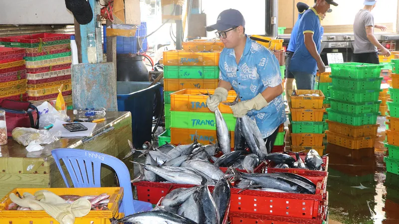 Áp dụng nhật ký khai thác thủy sản điện tử