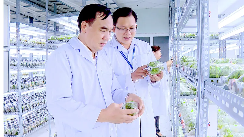 Đầu tư “mũi nhọn” công nghệ sinh học
