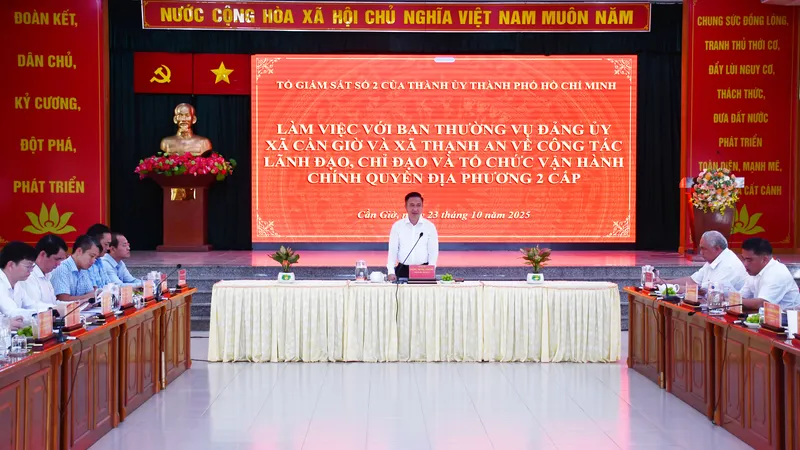 Phó Bí thư Thành ủy TPHCM Đặng Minh Thông phát biểu tại buổi giám sát