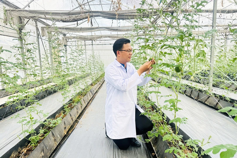 Kỹ sư Phạm Quang Thắng bên khu vườn ươm với những sáng kiến, cải tiến của mình và đồng nghiệp 