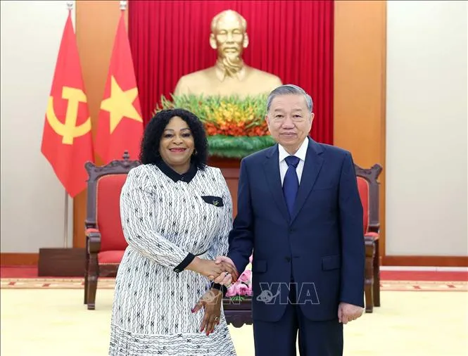 Củng cố tin cậy chính trị và đưa quan hệ Việt Nam - Nam Phi lên tầm cao mới