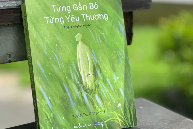 Những bông cúc dại kiên cường trong "Từng gắn bó, từng yêu thương"
