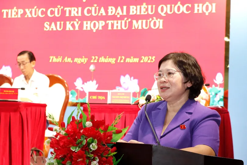 Cử tri TPHCM lo lắng vì tội phạm công nghệ cao ngày càng tinh vi