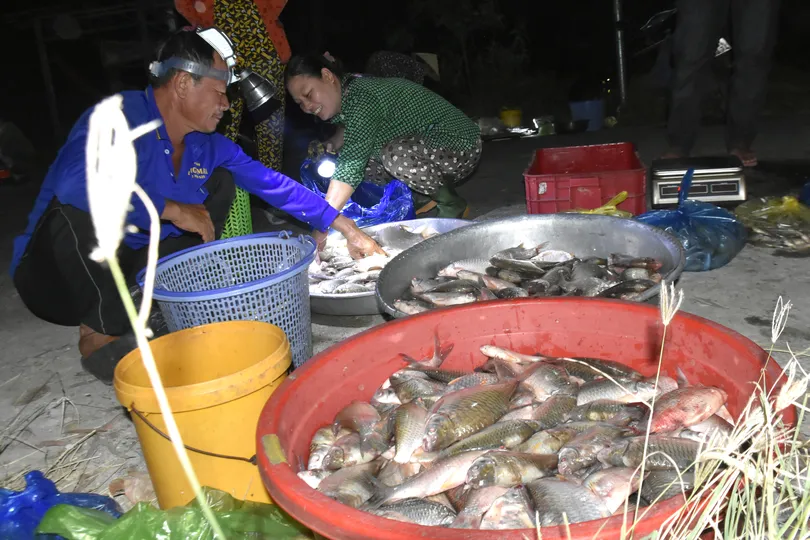 “Chợ ma” mùa nước nổi vùng biên giới An Giang 