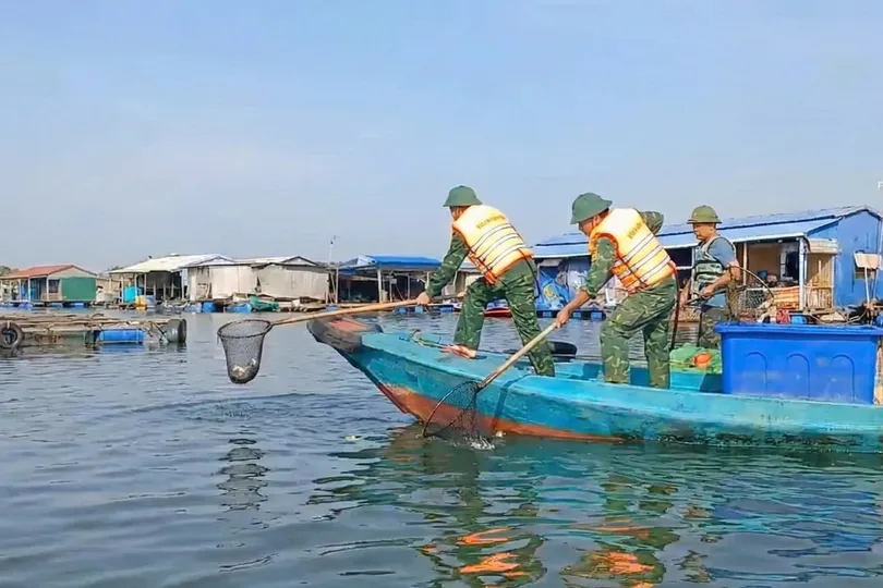 Vớt cá chết trôi dạt trên sông Chà Và