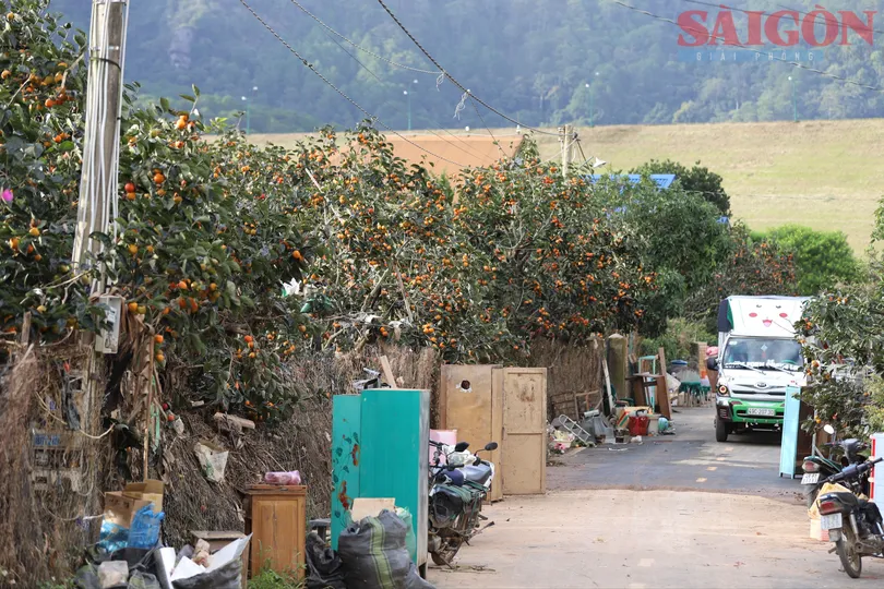 D’ran từng bước hồi sinh sau lũ