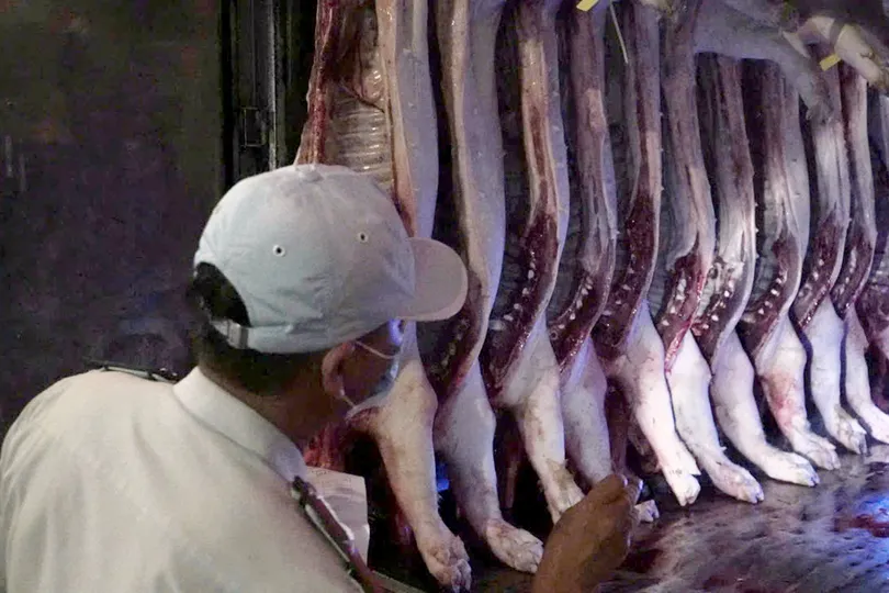 Chủ động nguồn thịt heo, trứng gia cầm dịp tết