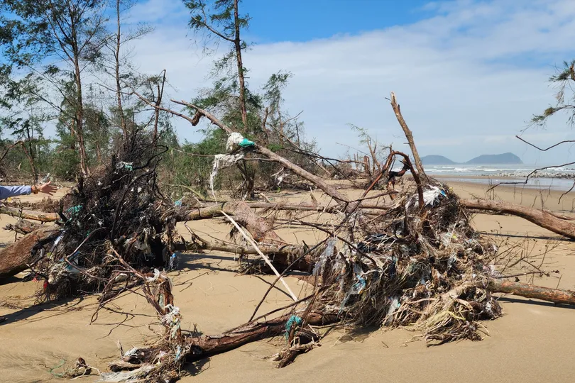 Ông Phan Vĩnh Tuy, Trưởng thôn Tân Ninh Châu (xã Đan Hải, tỉnh Hà Tĩnh) xót xa bên rừng cây phi lao phòng hộ đã bị bão tàn phá tan hoang