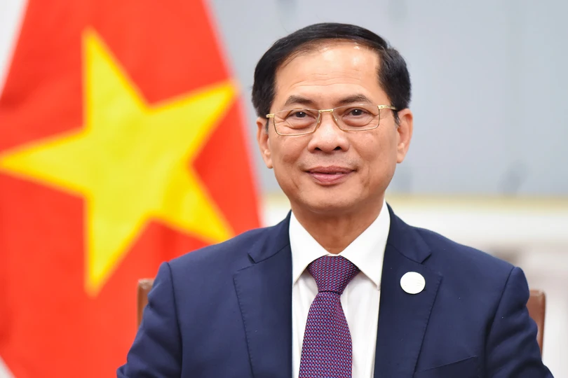 Phó Thủ tướng, Bộ trưởng Bộ Ngoại giao Bùi Thanh Sơn