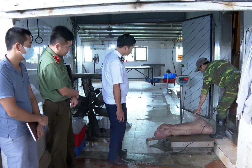 Hưng Yên: Khởi tố vợ chồng cố ý giết mổ heo nhiễm bệnh