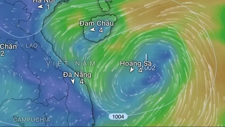 Bộ Nông nghiệp và Môi trường đề nghị ứng phó áp thấp nhiệt đới 