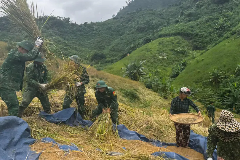 Cán bộ, chiến sĩ Đồn Biên phòng La Êê khẩn trương giúp dân gặt lúa nương trên đồi Bhơr