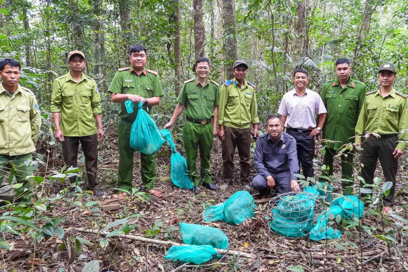 Gia Lai: Thả 8 động vật quý hiếm về rừng tự nhiên