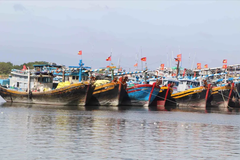 Tàu cá ngư dân TPHCM khi vươn khơi phải bảo đảm điều kiện hồ sơ theo đúng quy định.